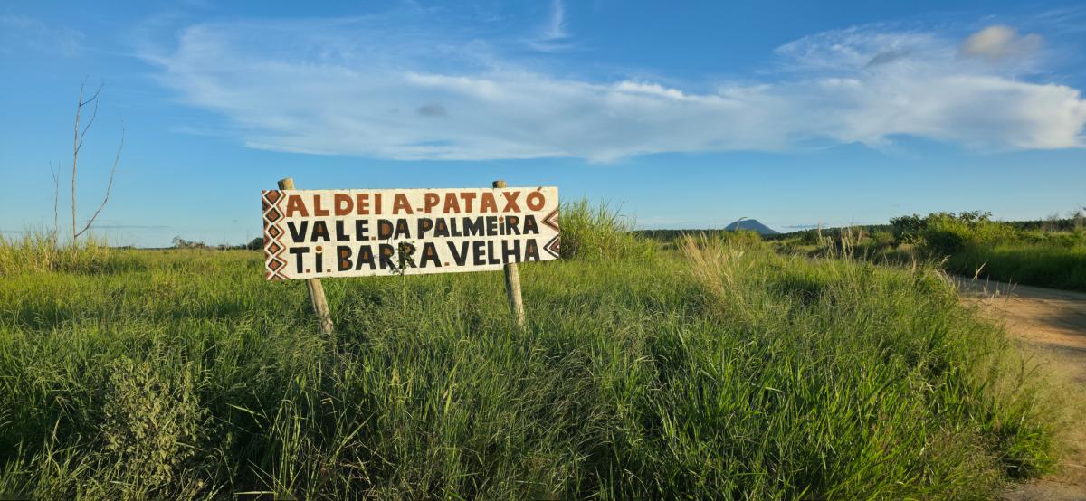 povo pataxó