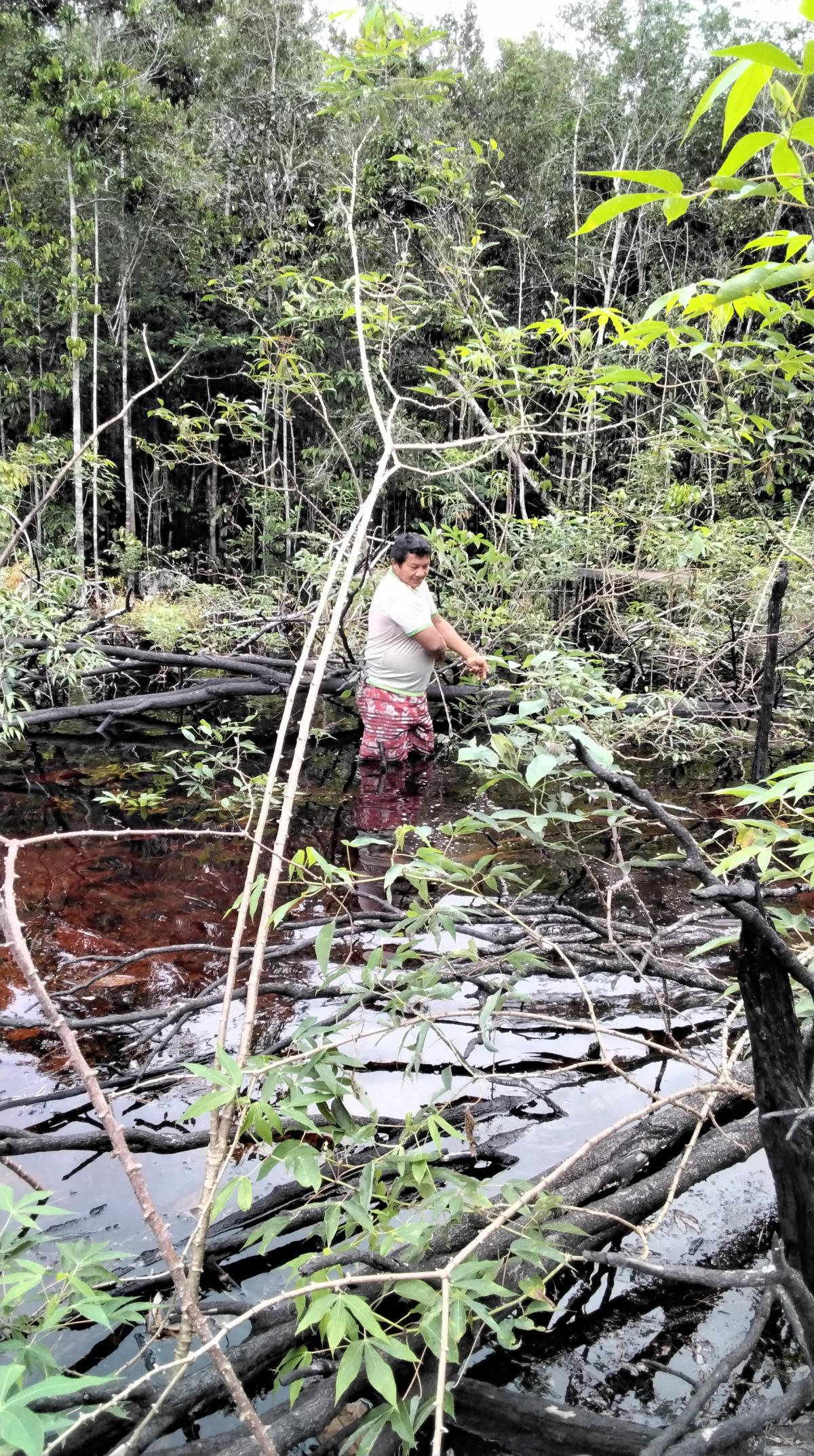 roça inundada