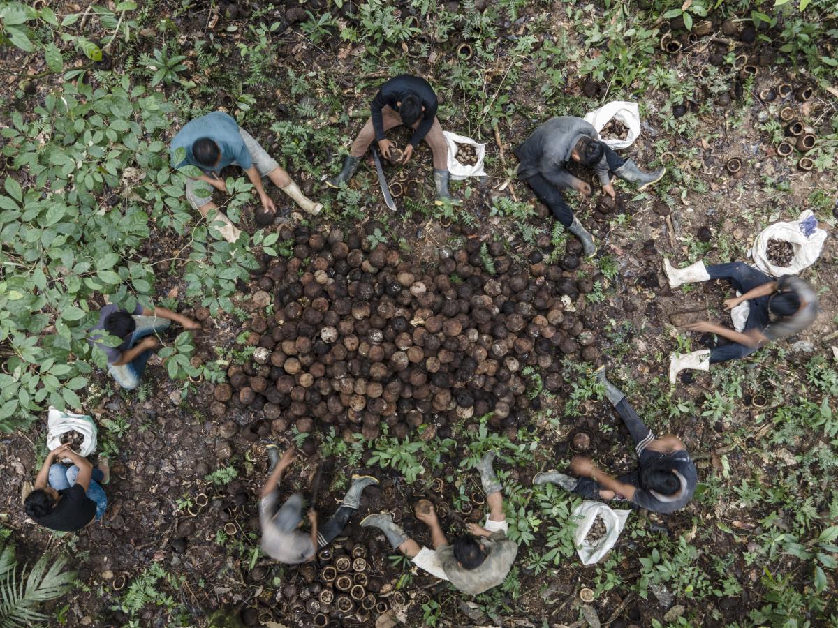 Minidoc e diálogo entre arqueologia e Sistemas Agrícolas Tradicionais ...