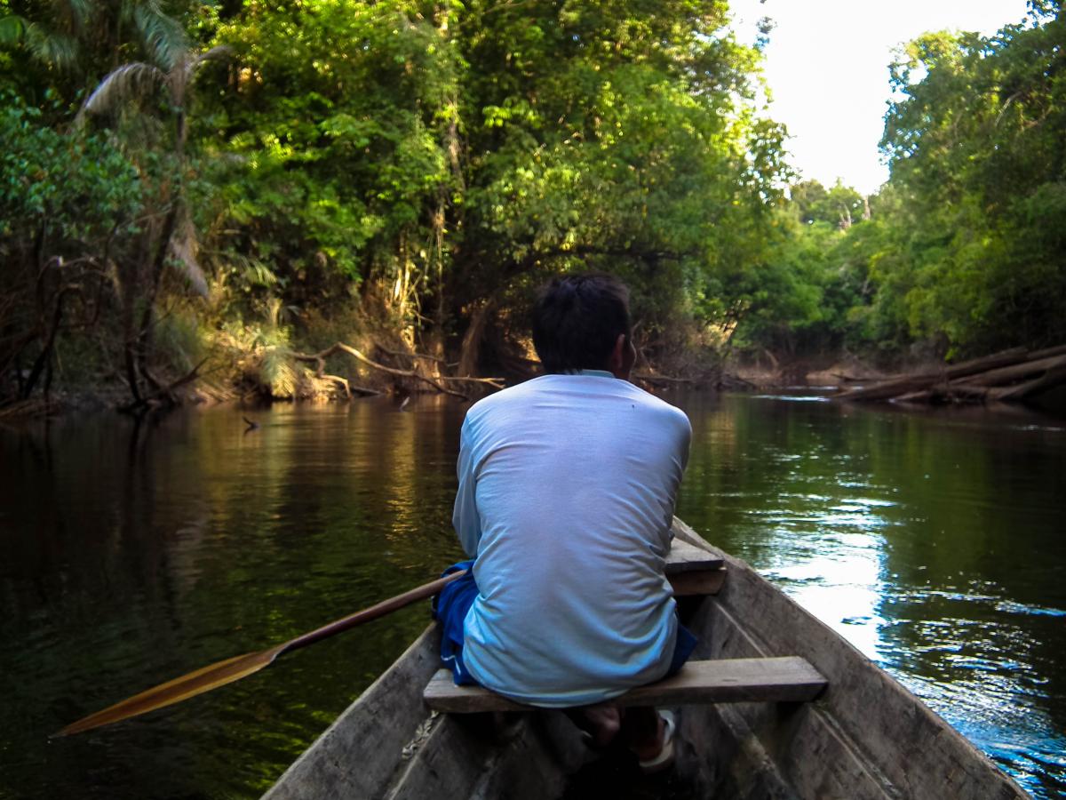 Armindo Brazão, Agente Indígena de Manejo Ambiental (AIMA) e presidente da Organização Indígena da Bacia do Içana (OIBI), navegando pelo igarapé Pamáali, rio Içana, Terra Indígena Alto Rio Negro (AM)