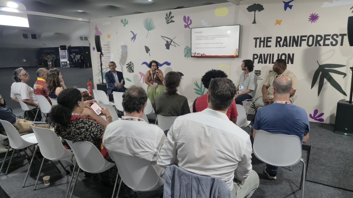 ISA e Conaq apresentam painel Amazônia Quilombola em espaço na Zona Azul 