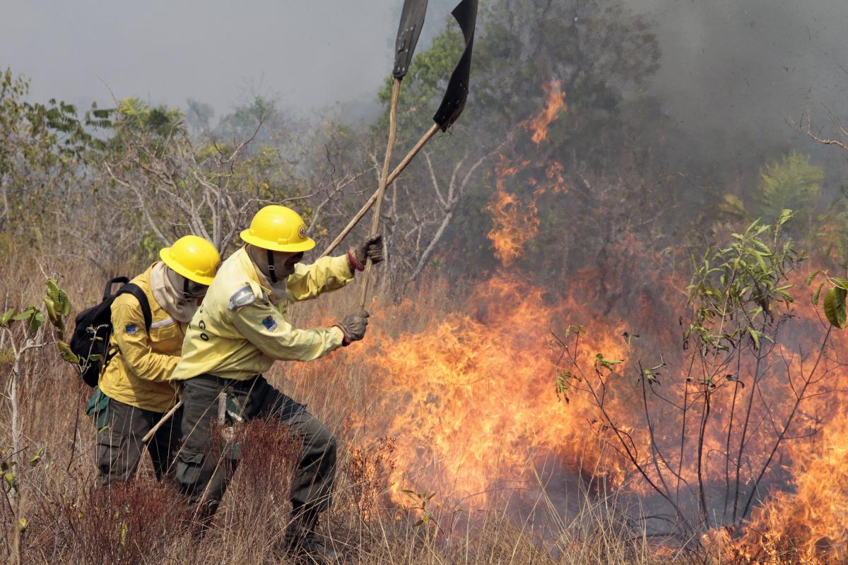 Equipes do Centro Nacional de Prevenção e Combate aos Incêndios Florestais (Prevfogo) do Ibama trabalham para controlar incêndio florestal no Parque Indígena do Xingu, no Mato Grosso, em 2016