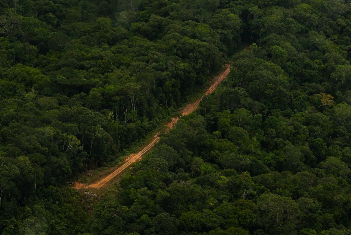 Pista do Gongo em Aracaçá