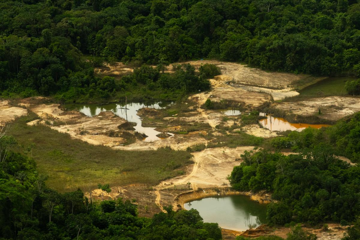 Imagem aérea mostra garimpo na floresta