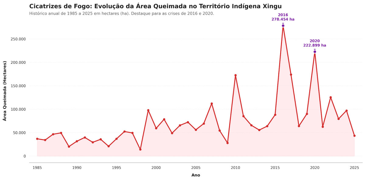 Gráfico de área queimada no TIX ano a ano, dados do Mapbiomas Coleção 10