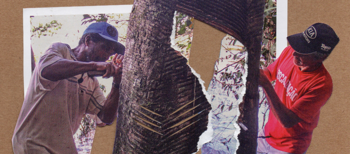Fotocolagem feita pela artista aymara Shirley Espejo com fotos do Acervo do ISA, para utilização na série Hoje na História Socioambiental|Rafael Salazar/ISA