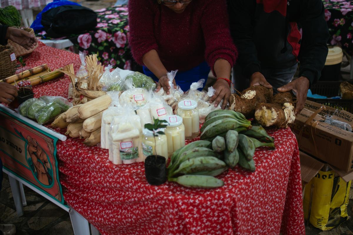 Produtos da Feira de Sementes e Mudas do Vale do Ribeira