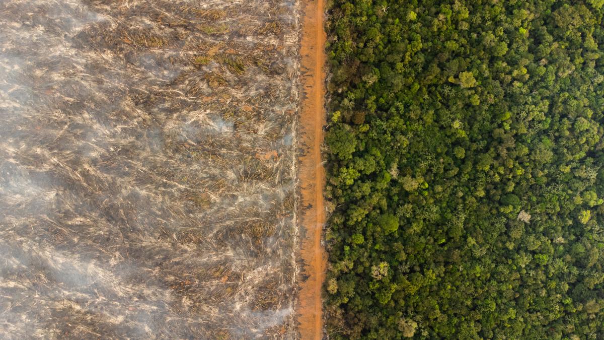 Fronteira do Território Indígena do Xingu (MT) | Kamikiá Khisêtjê