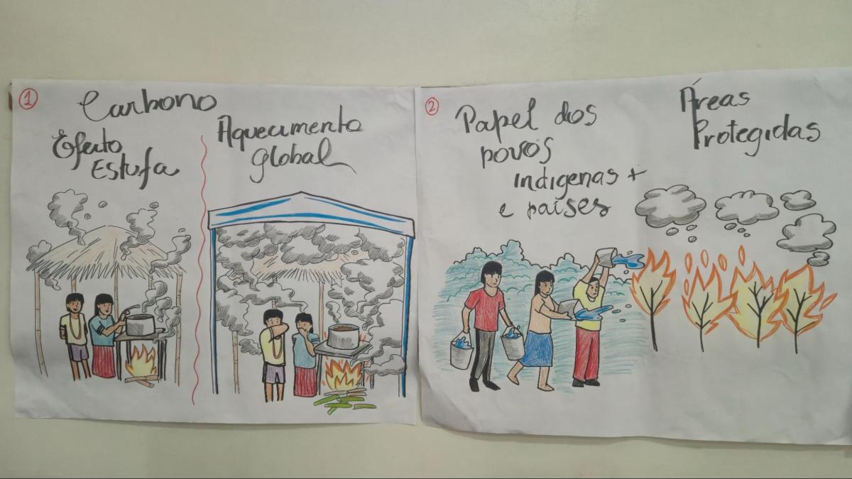 Indígenas e demais povos e comunidades tradicionais desempenham papel fundamental na proteção dos biomas e das florestas
