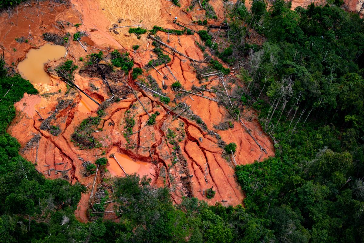 Área impactada pelo garimpo na região do Apiaú na Terra Indígena Yanomami