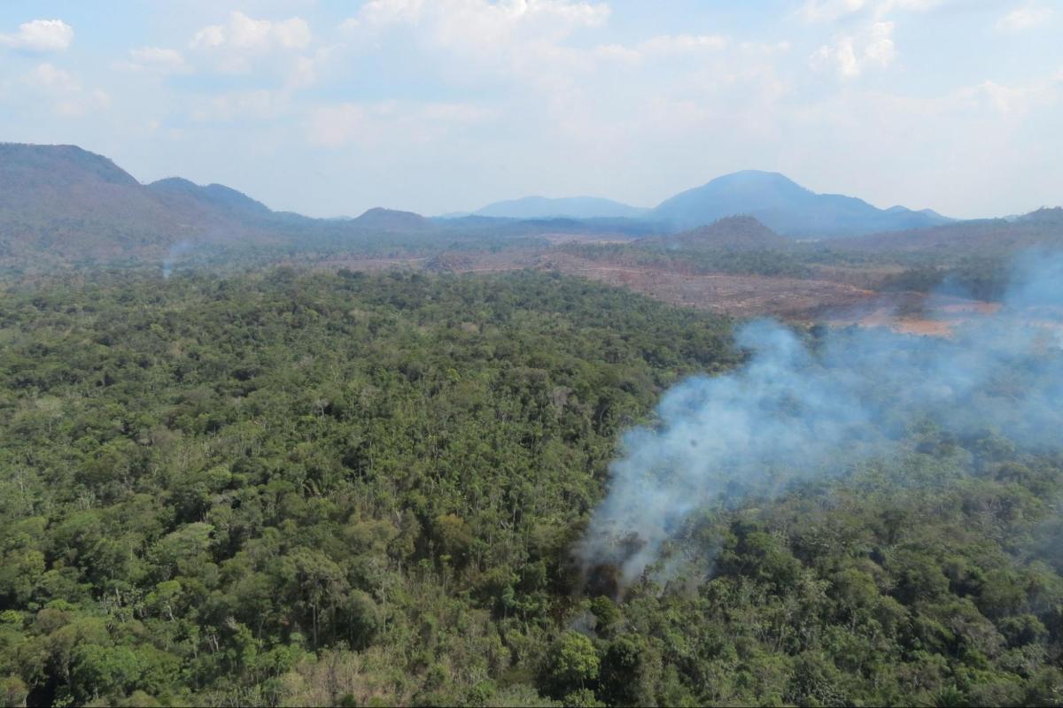 Incêndio ocorrido em 2016 na Terra Indígena Yanomami