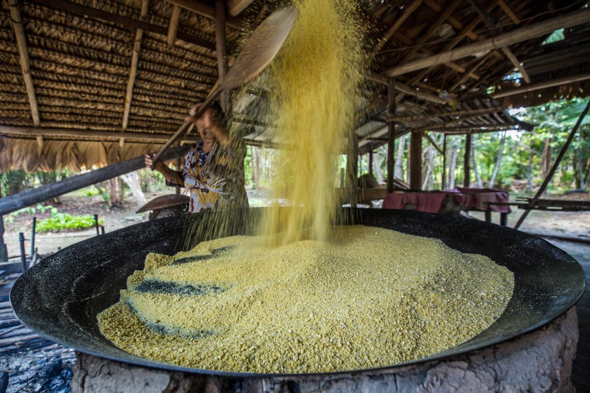 Indígena do povo Baré prepara farinha em sítio na cidade de Santa Isabela do Rio Negro (AM): práticas tradicionais devem ser reconhecidas pelas normas sanitárias