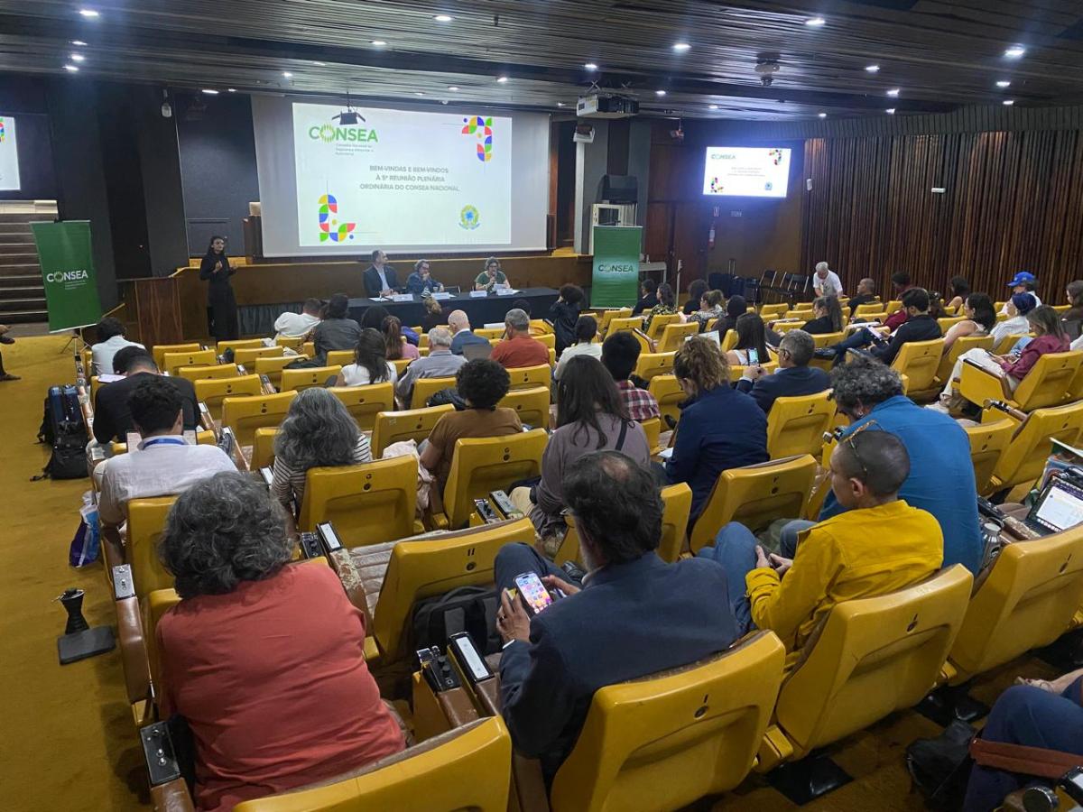 Plenária do Conselho Nacional de Segurança Alimentar e Nutricional (Consea) aconteceu nos dias 6 e 7 de outubro 