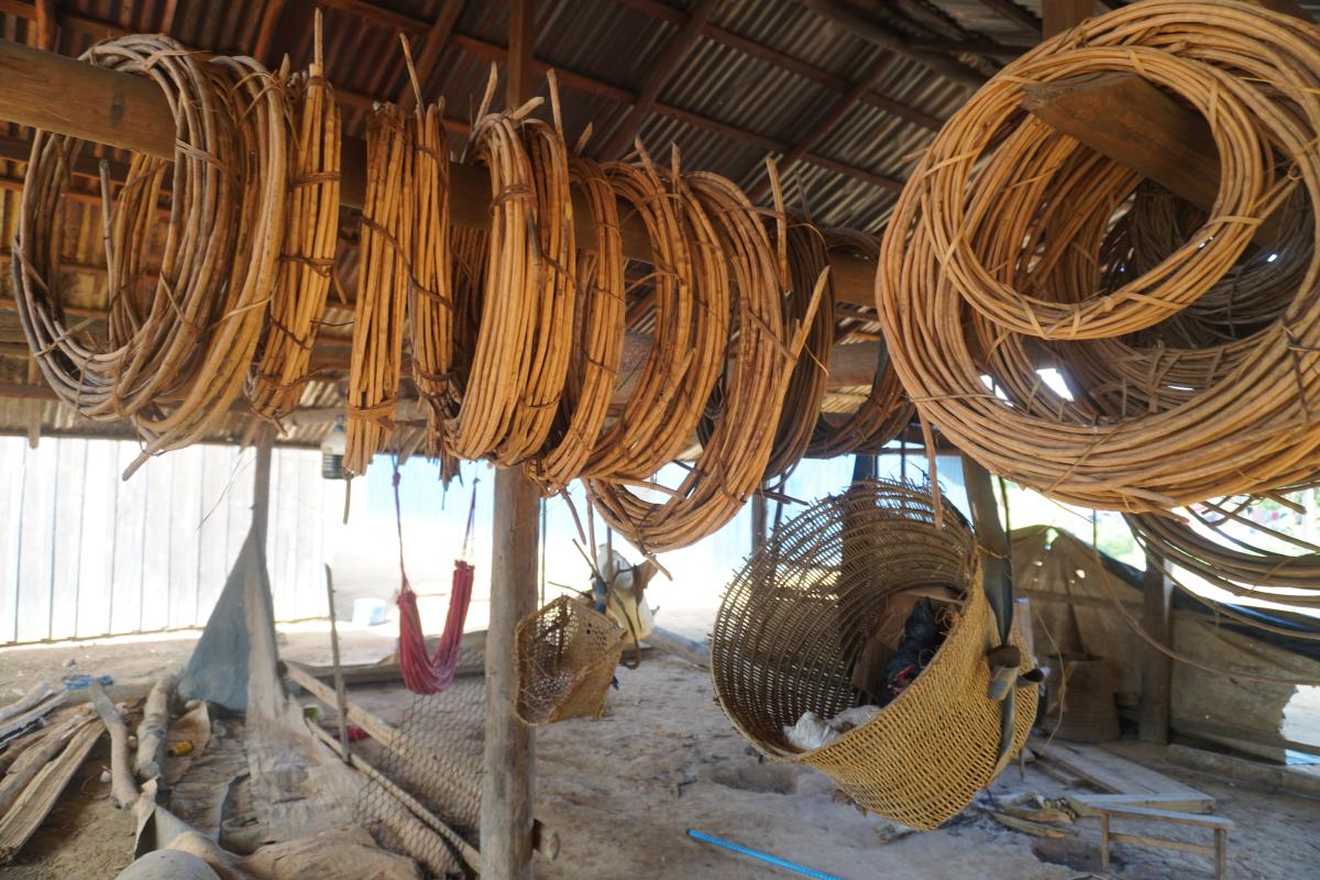 O cipó retirado da floresta vai dar vida à tradicional peça do artesanato do povo Ye´kwana