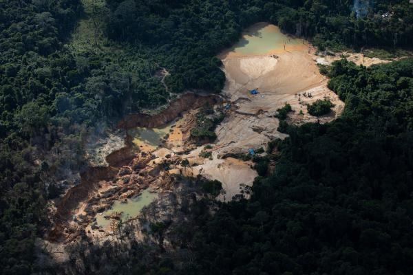 Garimpo no Rio Uraricoera, Terra Indígena Yanomami, janeiro de 2022