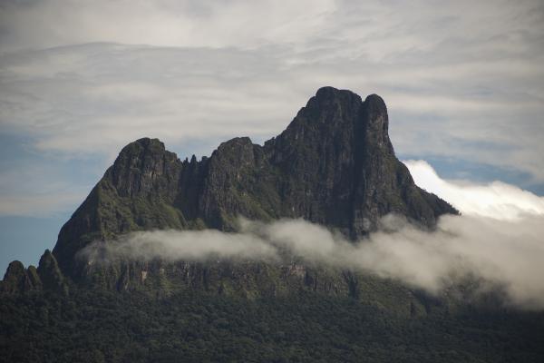 Pico da Neblina (AM) | Guilherme Gnipper Trevisan / HAY