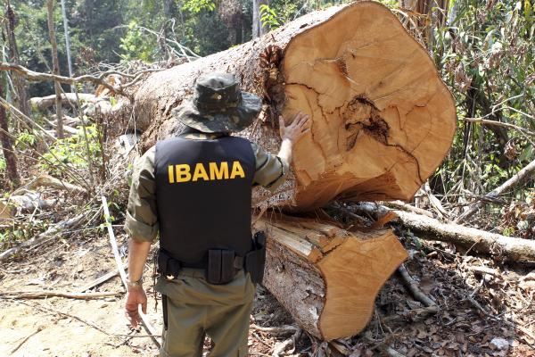 Fiscalização do Ibama na Terra Indígena Mekrãgnoti PA em 2016 | Felipe Werneck / Ascom Ibama