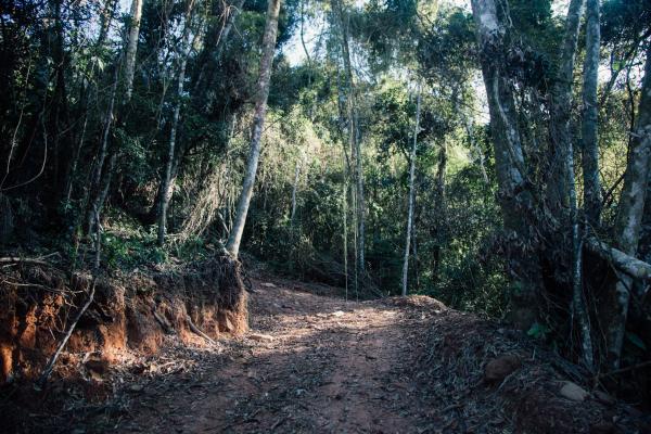Nova estrada feita pela Fundação Florestal não soluciona a dificuldade de acesso dos moradores do Quilombo Bombas