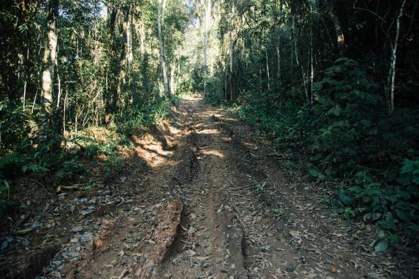 Nova estrada feita pela Fundação Florestal não soluciona a dificuldade de acesso dos moradores do Quilombo Bombas