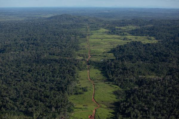 Vicinal que dá acesso aos portos de garimpo no rio Uraricoera