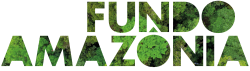 Fundo Amazônia